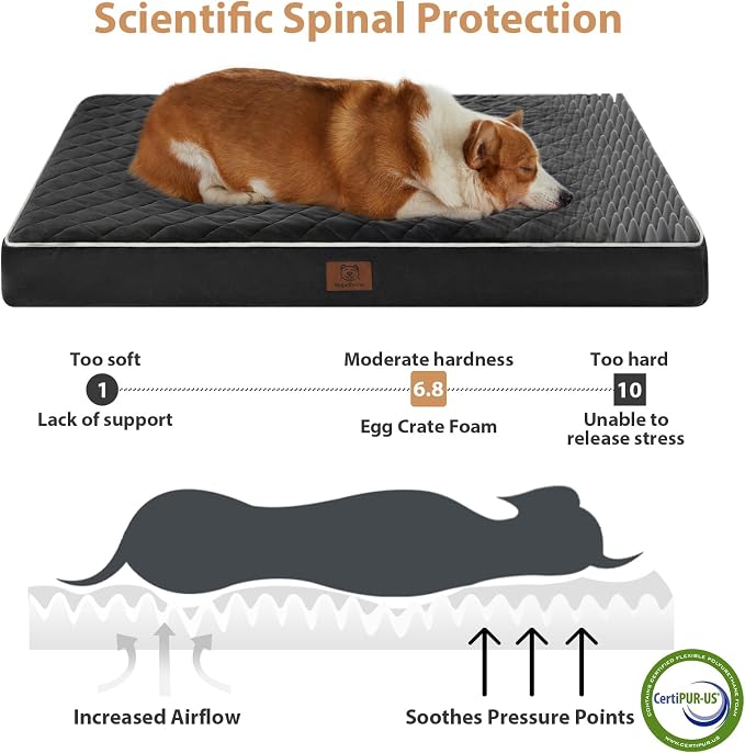 WNPETHOME Orthopedic XXL Dog Beds Large Sized Dog, Waterproof Extra Large Dogs - Image 3