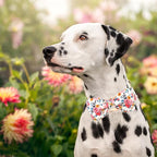 Lionheart glory Dog Collar Bow Collar Floral Dog Collar - Image 6