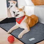 PetAmi Waterproof Dog Blanket, Leakproof Puppy Blanket - Image 5