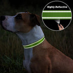 TagME Small Dog Collars, Adjustable Reflective Nylon Pet Collar - Image 5