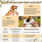 SZEE Bridal Shower Gifts for Bride, 2 Pack My Humans are Getting Married Dog - Image 3