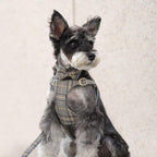 Beirui Cute Small Dog Harness Collar and Leash Set - Image 3