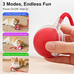 Interactive Electric Automatic Rolling Moving USB Rechargeable Self Activated - Image 3