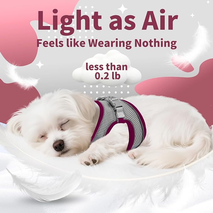 AIITLE Escape Proof Dog Harness - Image 8