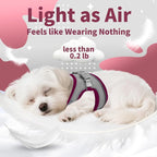 AIITLE Comfortable Dog Harness and Leash Set - Image 5