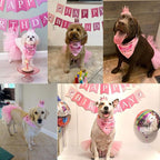 ADOGGYGO Dog Birthday Hat Bandana Girl - Image 3