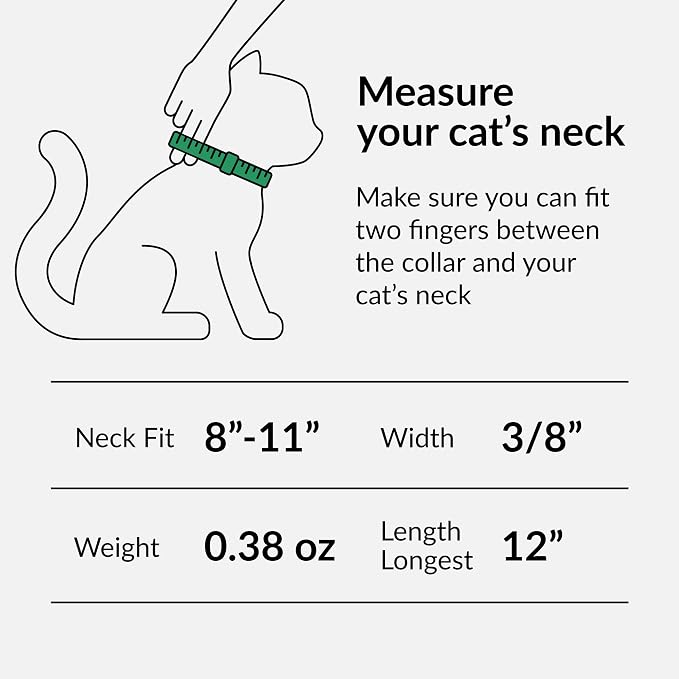 CollarDirect Leather Cat Collar - Image 2