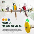 Sweet Feet and Beak Bird Swing - Image 5