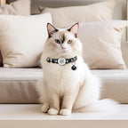 Smart QR Code Cat Collar 2-Pack: Your Cat's Digital Safety Profile, Breakaway - Image 6