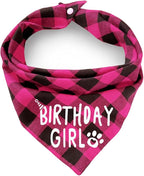 Birthday Plaid Dog Bandana by ZIRVYIR