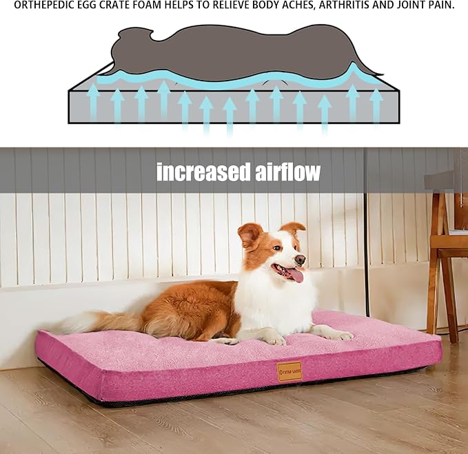 Patas Lague Orthopedic Dog Bed for Small Dogs 20''X15'', Soft Waterproof Egg - Image 3