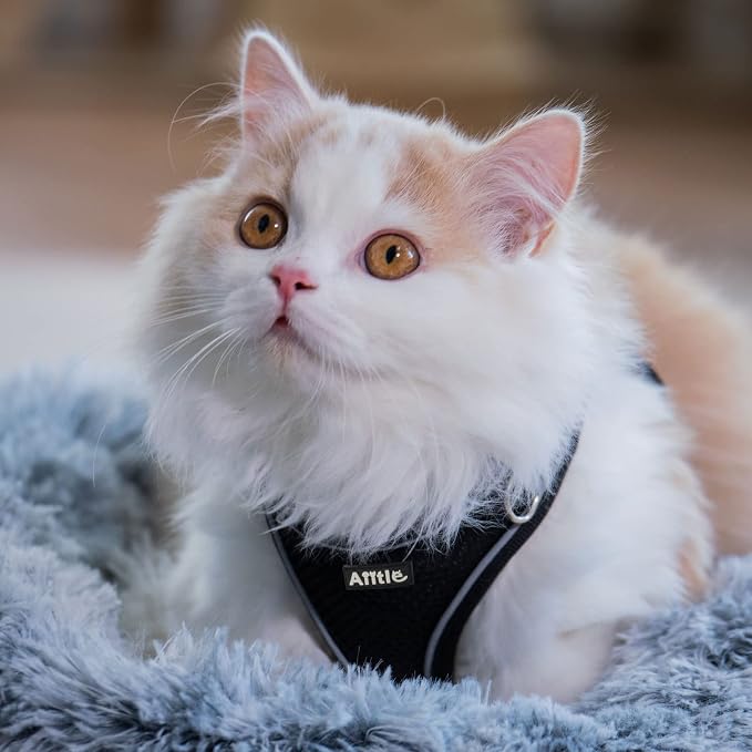 AIITLE Step in Dog Harness and Leash Set - Image 2