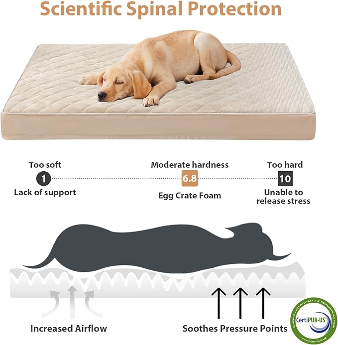 WNPETHOME Orthopedic XL Dog Bed - Image 3