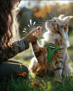 FAYOGOO Cat Harness, Escape Proof, Ultra-Light & Comfortable, Reflective Night - Image 7