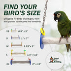 Sweet Feet and Beak Bird Swing - Image 3