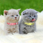 azuza 4 Pack Kitten Collar Breakaway - Image 4