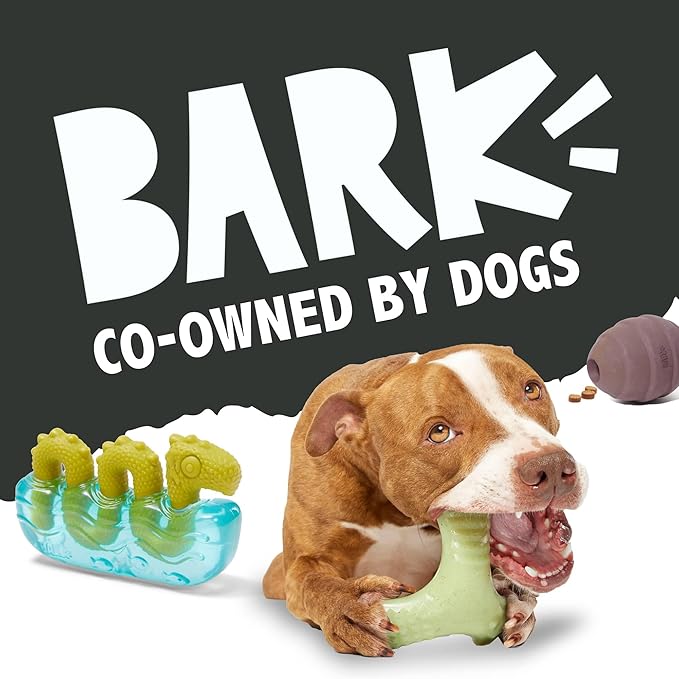 Barkbox Dogness Monster Super Chewer Dog Chew Toy - Image 8