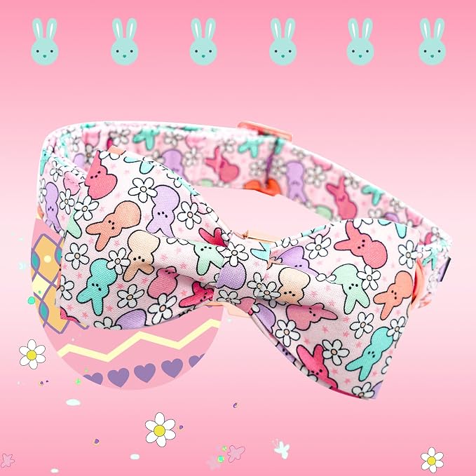 Lionheart Glory X-Small Dog & Rabbit Collar - Image 3