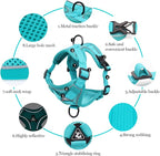 Wanheart Summer cat Chest Harness and Leash, Anti-Escape Adjustable Soft mesh - Image 3