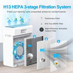 Air Purifiers for Home Large Room up to 2000ft², H13 HEPA Air Filter for Pets - Image 3