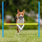 8 Set Dog Agility Jump Adjustable Dog Agility Hurdle Training Equipment - Image 3