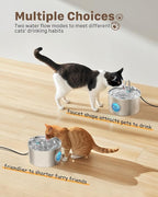 Cat Water Fountain Stainless Steel: 74oz/2.2L Cat Fountain - Image 6
