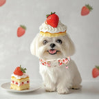 Strawberry Dog Collar for Small Dogs - Image 7