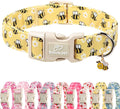 Bee & Daisy Dog Collar for Small Dogs by Babolepet
