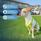 Best Pet Supplies Voyager Step-in Air All Weather Mesh Harness and Reflective - Image 6