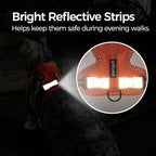 Cat Harness and Leash Escape Proof Large Kitten Harness Ragdoll Cat Vest - Image 6