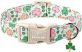 St Patricks Day Dog Collar for Giant Large Dogs by Babolepet