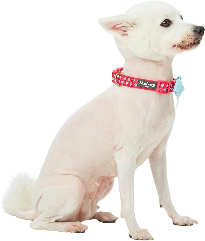 Blueberry Pet Dog Collar with Bowtie, Neck 14.5-20" Adjustable - Image 7