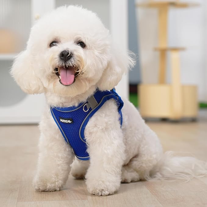 AIITLE Step in Dog Harness and Leash Set - Image 9
