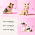 Downtown Pet Supply Step-in Dog Harness – No Pull, Adjustable Padded Mesh - Image 6