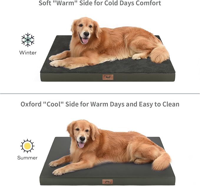 Flat Extra Large Dog Bed, Jumbo Waterproof Dog Bed - Image 3