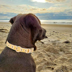 Woven Dog Collar with Metal Buckle Adjustable Jacquard Retro Dog Collars - Image 5