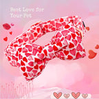Lionheart glory Dog Collar - Image 3