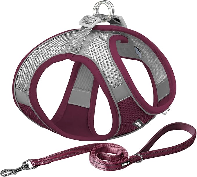 AIITLE Comfortable Dog Harness and Leash Set by AIITLE-FORPETSBETTERLIFE