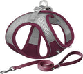 AIITLE No Pull Dog Harness and Leash Set, Christmas Step in Adjustable Dog by AIITLE-FORPETSBETTERLIFE