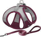 AIITLE No Pull Dog Harness and Leash Set, Christmas Step in Adjustable Dog by AIITLE-FORPETSBETTERLIFE