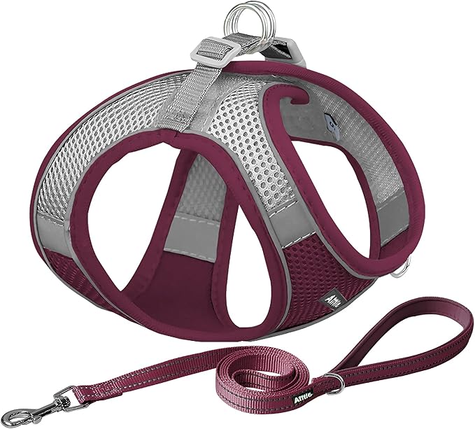 AIITLE No Pull Dog Harness and Leash Set, Christmas Step in Adjustable Dog by AIITLE-FORPETSBETTERLIFE