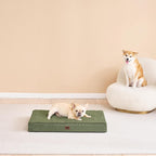 EHEYCIGA Orthopedic Dog Beds for Large Dogs - Image 7