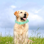Waterproof Dog Collar Soft Rubber Dog Collar - Image 2