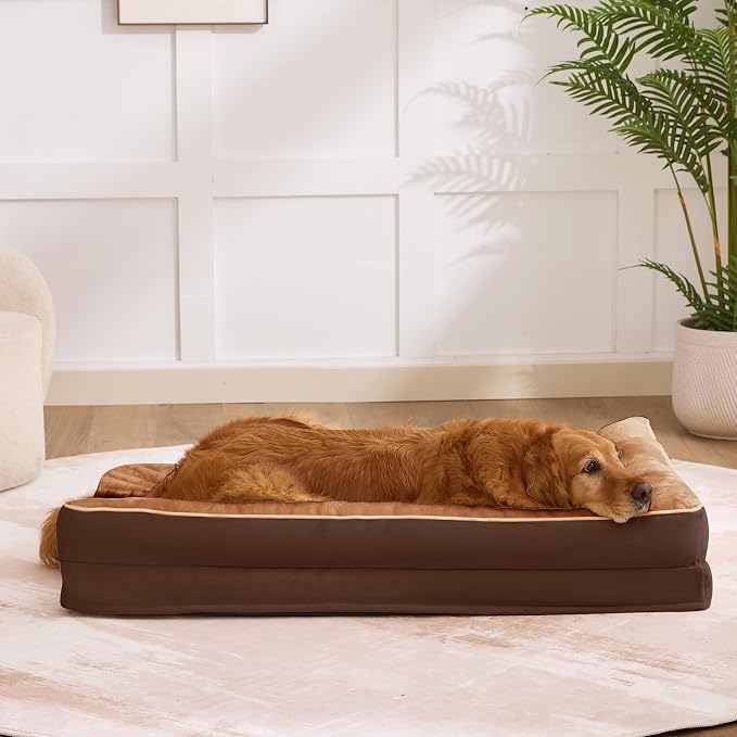 Dog Bed Large Sized Dogs, XL Orthopedic Dog Bed - Image 7