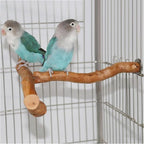 Asixxsix Wood Bird Perch, T Shaped Birdcage Stand Wooden Parrot Perch Stand - Image 3