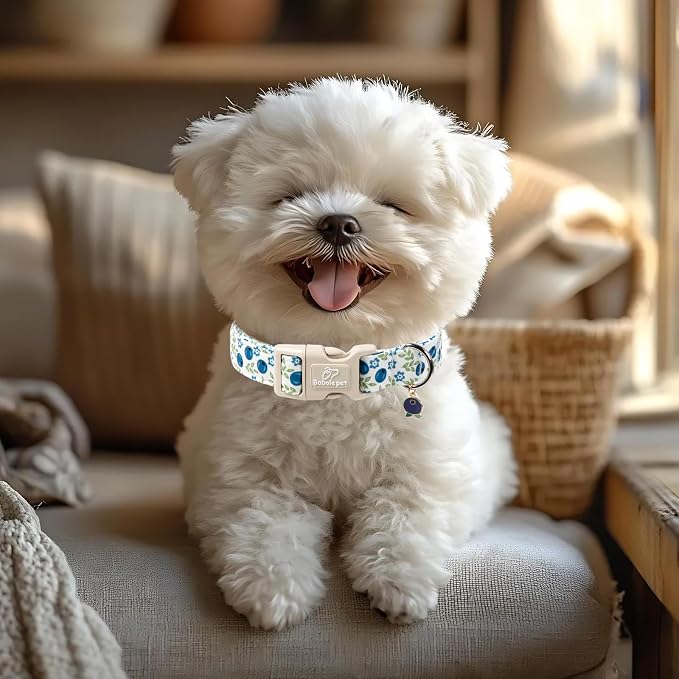 Spring/Summer Dog Collar for Large Dogs - Image 5