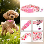 Small Dog Collar with Bell - Image 3