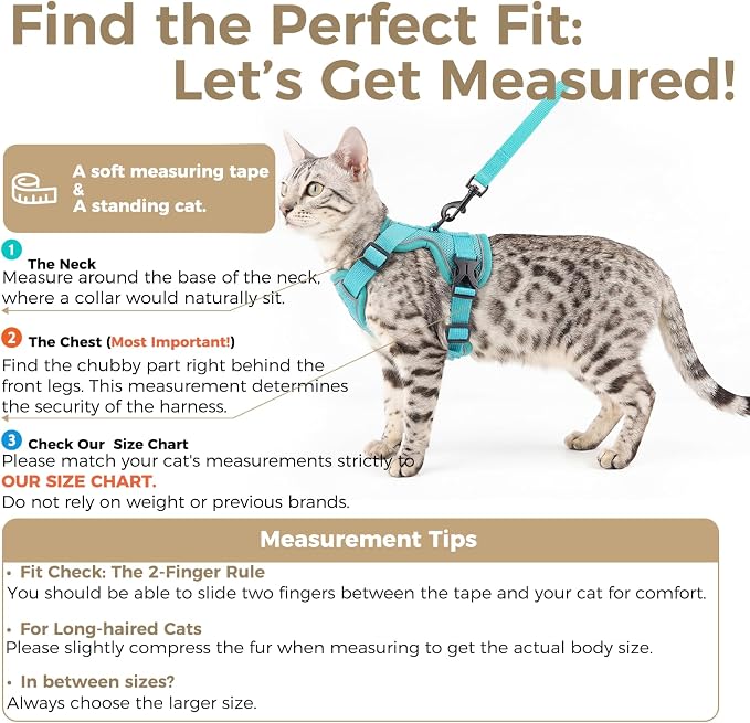 Cat Harness and Leash Set Escape Proof Tactical Small Kitten Harness Emotional - Image 2