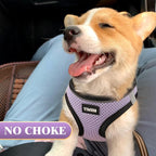 YIMEIS Dog Harness and Leash Set, No Pull Soft Mesh Pet Harness, Reflective - Image 2