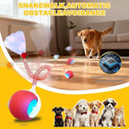 3-Pack Interactive Cat Toys Ball - Image 3